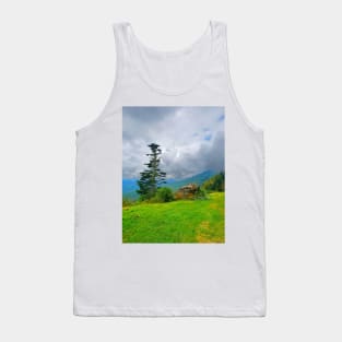 Tree and Rock on the Blue Ridge Parkway Tank Top